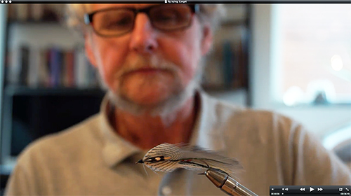 gray ghost fly tying 3